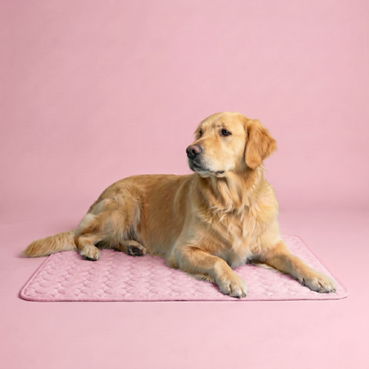 IcyNap | Tapis rafraîchissant en soie glacée pour chien