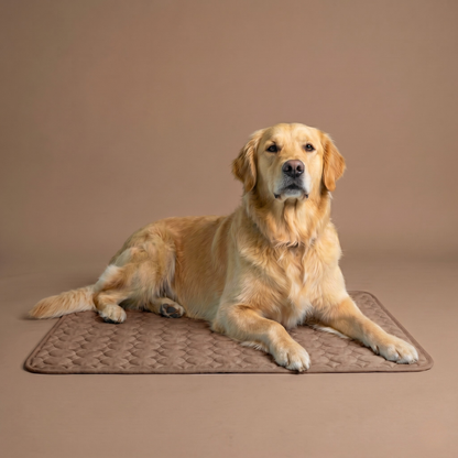 IcyNap | Tapis rafraîchissant en soie glacée pour chien