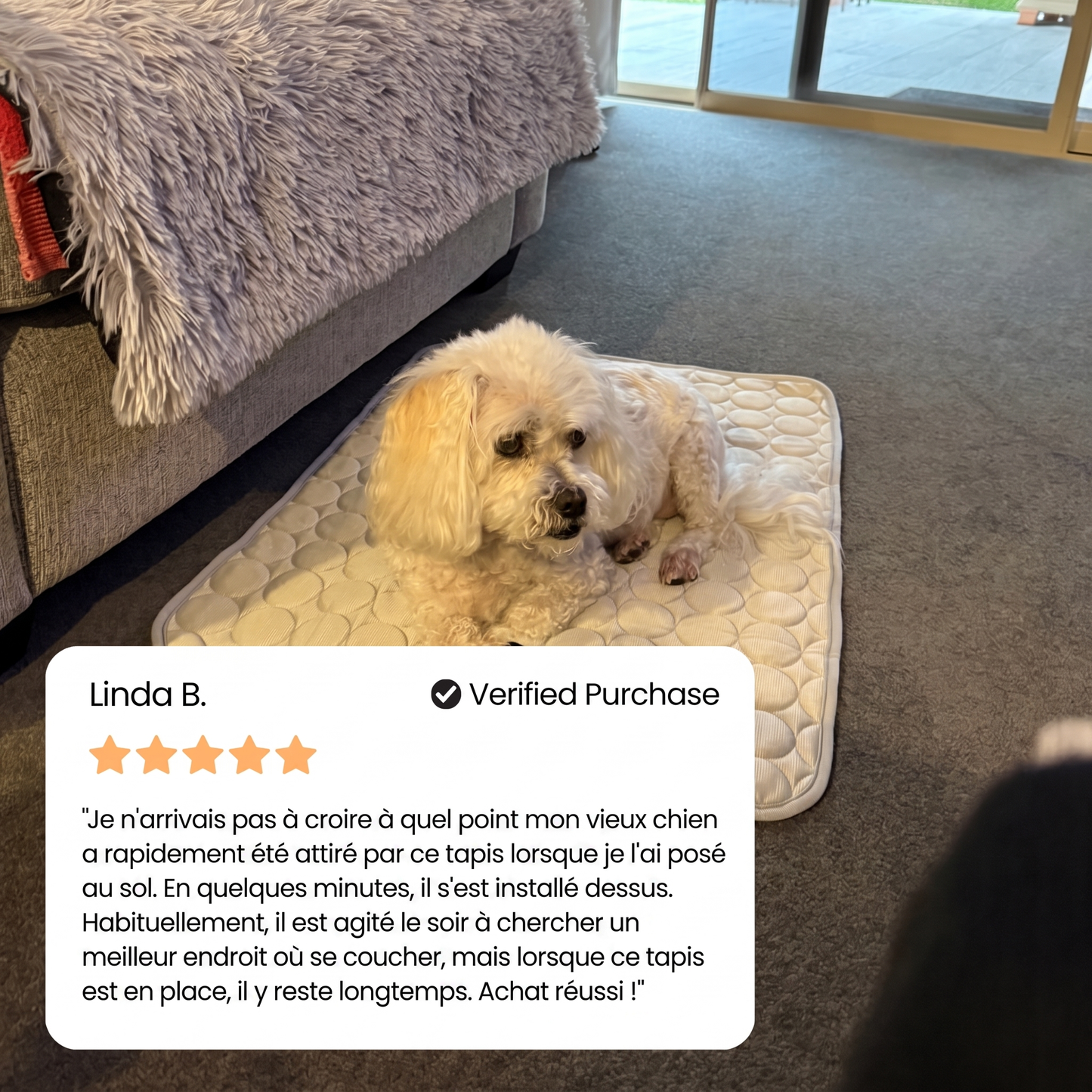 IcyNap | Tapis rafraîchissant en soie glacée pour chien