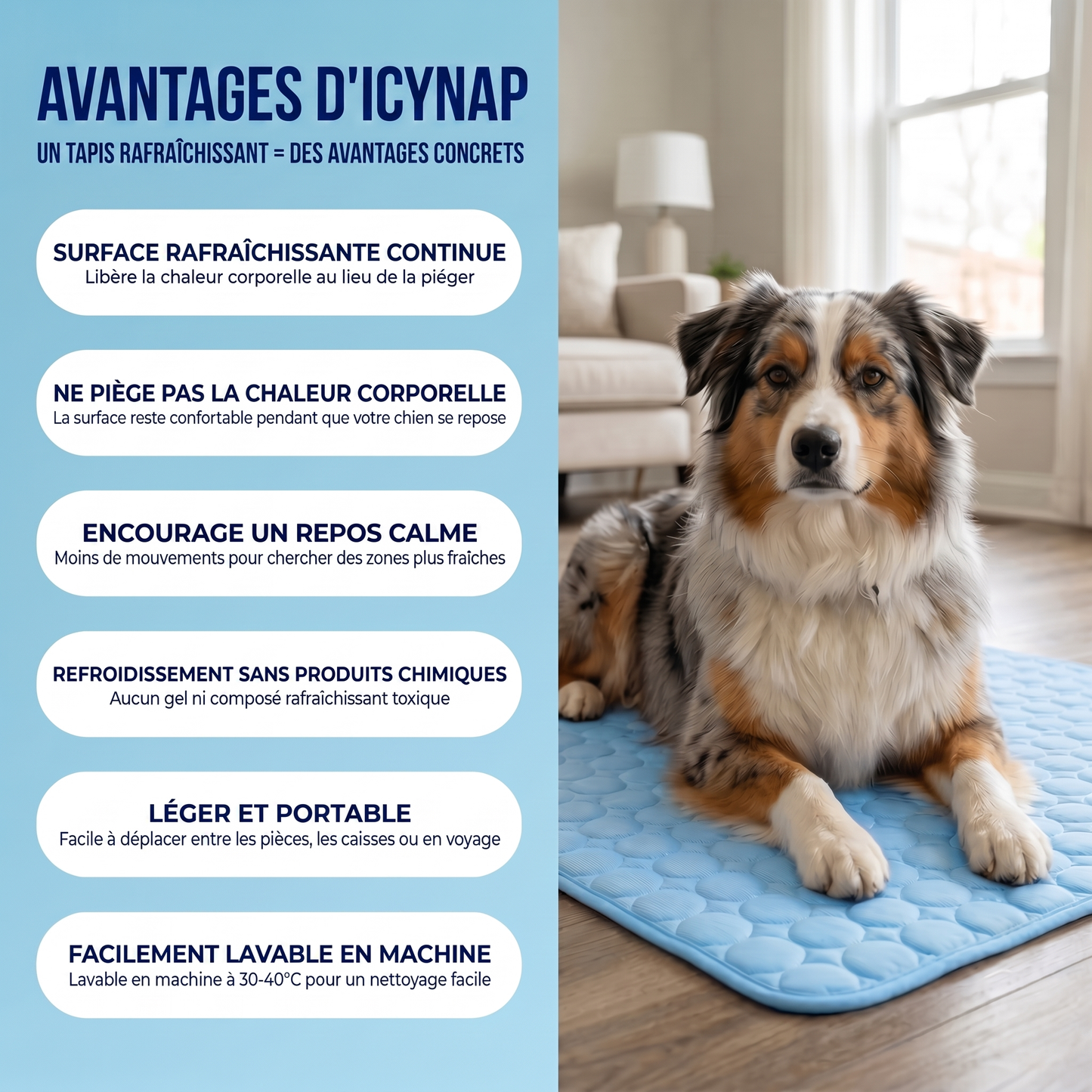 IcyNap | Tapis rafraîchissant en soie glacée pour chien