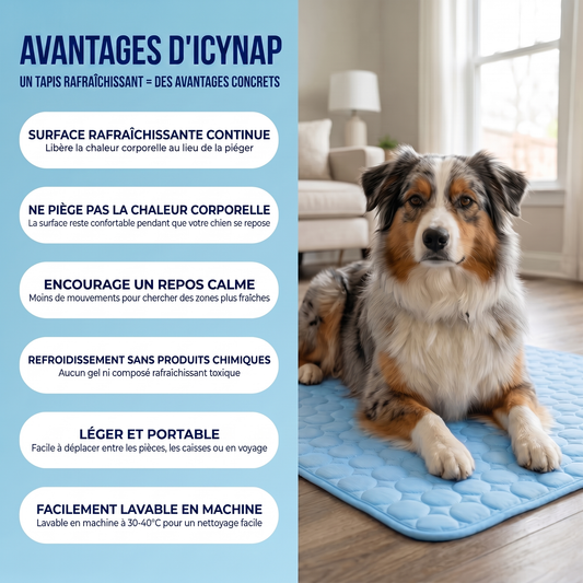 IcyNap | Tapis rafraîchissant en soie glacée pour chien