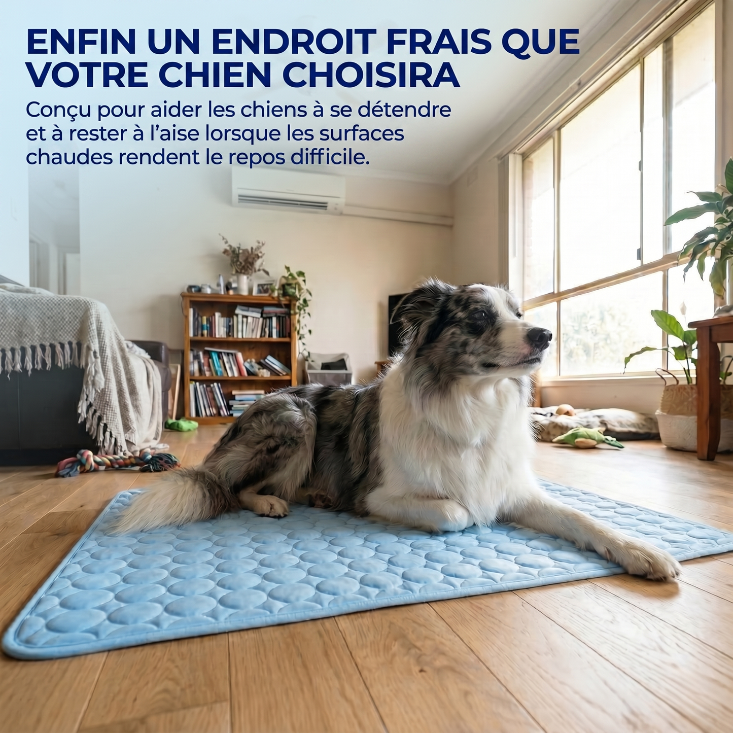 IcyNap | Tapis rafraîchissant en soie glacée pour chien