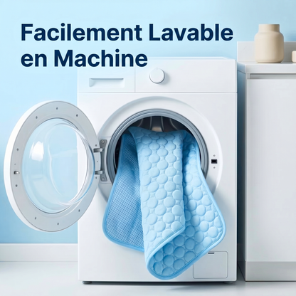 IcyNap | Tapis rafraîchissant en soie glacée pour chien
