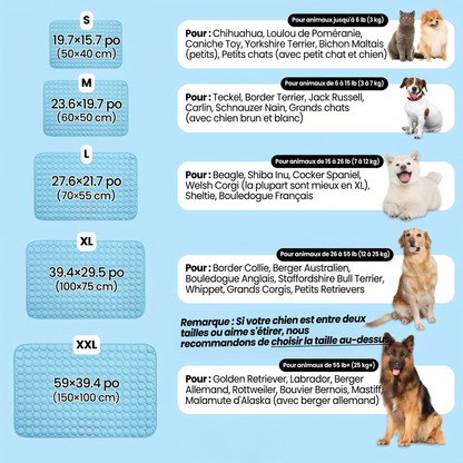 IcyNap | Tapis rafraîchissant en soie glacée pour chien